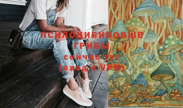 2c-b Майский